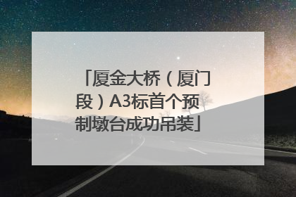 厦金大桥（厦门段）A3标首个预制墩台成功吊装