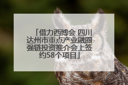 借力西博会 四川达州市重点产业融圈强链投资推介会上签约58个项目