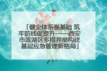 健全体系强基础 筑牢防线促提升——西安市莲湖区多措并举构建基层应急管理新格局