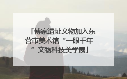 傅家遗址文物加入东营市美术馆“一眼千年”文物科技美学展