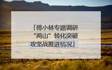 傅小林专题调研“两山”转化突破攻坚战推进情况