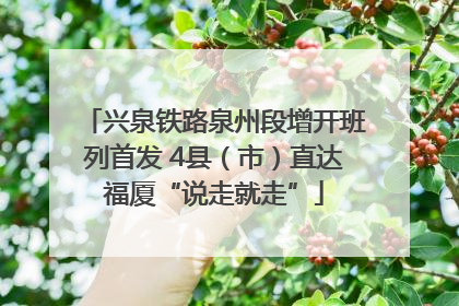 兴泉铁路泉州段增开班列首发 4县（市）直达福厦“说走就走”