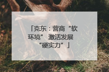 克东：营商“软环境” 激活发展“硬实力”