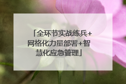 全环节实战练兵+网格化力量部署+智慧化应急管理
