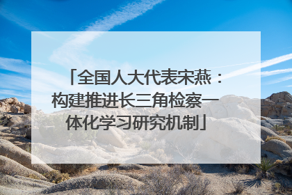 全国人大代表宋燕：构建推进长三角检察一体化学习研究机制