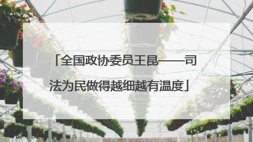 全国政协委员王昆——司法为民做得越细越有温度