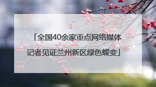 全国40余家重点网络媒体记者见证兰州新区绿色蝶变