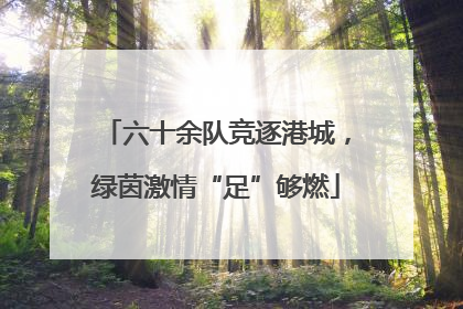 六十余队竞逐港城，绿茵激情“足”够燃