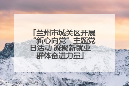 兰州市城关区开展“新心向党”主题党日活动 凝聚新就业群体奋进力量