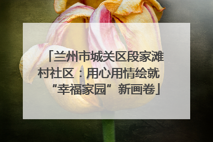 兰州市城关区段家滩村社区：用心用情绘就“幸福家园”新画卷