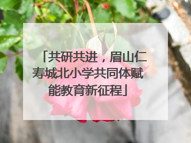 共研共进，眉山仁寿城北小学共同体赋能教育新征程
