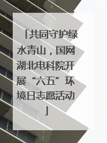 共同守护绿水青山，国网湖北电科院开展“六五”环境日志愿活动