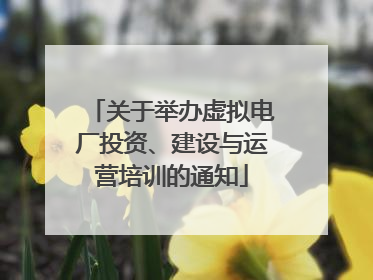 关于举办虚拟电厂投资、建设与运营培训的通知