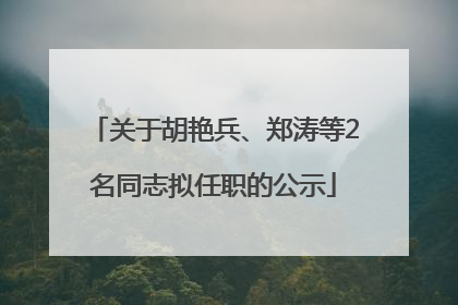 关于胡艳兵、郑涛等2名同志拟任职的公示