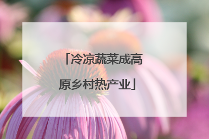 冷凉蔬菜成高原乡村热产业