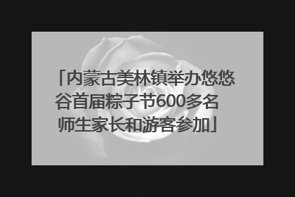 内蒙古美林镇举办悠悠谷首届粽子节600多名师生家长和游客参加