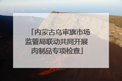 内蒙古乌审旗市场监管局联动共同开展肉制品专项检查