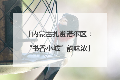 内蒙古扎赉诺尔区：“书香小城”韵味浓