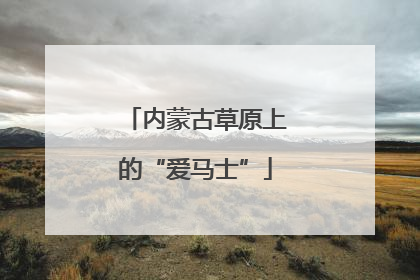 内蒙古草原上的“爱马士”