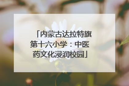 内蒙古达拉特旗第十六小学：中医药文化浸润校园