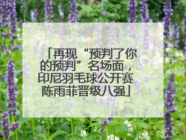 再现“预判了你的预判”名场面，印尼羽毛球公开赛陈雨菲晋级八强