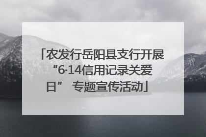 农发行岳阳县支行开展“6·14信用记录关爱日” 专题宣传活动