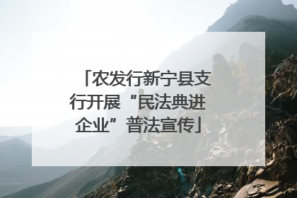 农发行新宁县支行开展“民法典进企业”普法宣传