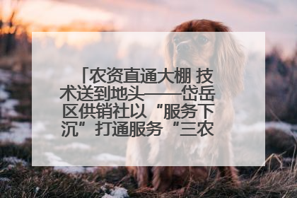 农资直通大棚 技术送到地头——岱岳区供销社以“服务下沉”打通服务“三农”最后一公里