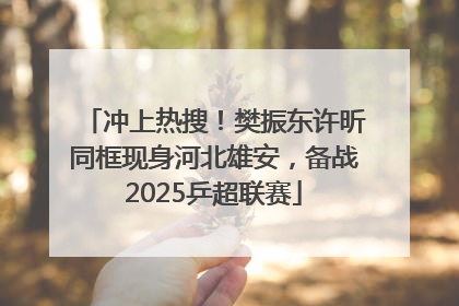 冲上热搜！樊振东许昕同框现身河北雄安，备战2025乒超联赛
