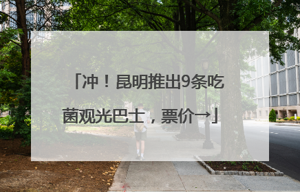 冲！昆明推出9条吃菌观光巴士，票价→