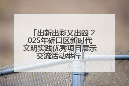出新出彩又出圈 2025年硚口区新时代文明实践优秀项目展示交流活动举行