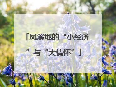 凤溪地的“小经济”与“大情怀”