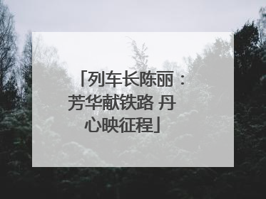 列车长陈丽：芳华献铁路 丹心映征程