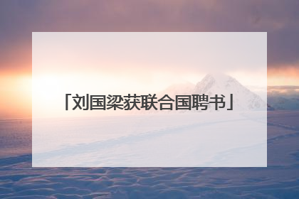 刘国梁获联合国聘书