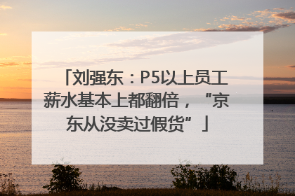 刘强东：P5以上员工薪水基本上都翻倍，“京东从没卖过假货”