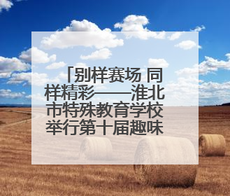 别样赛场 同样精彩——淮北市特殊教育学校举行第十届趣味运动会