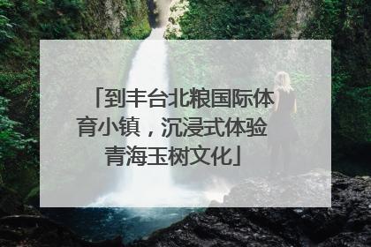 到丰台北粮国际体育小镇，沉浸式体验青海玉树文化