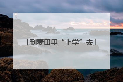 到麦田里“上学”去