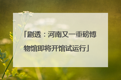 剧透：河南又一重磅博物馆即将开馆试运行