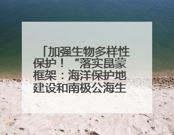 加强生物多样性保护！“落实昆蒙框架：海洋保护地建设和南极公海生态保护”主题论坛将举办