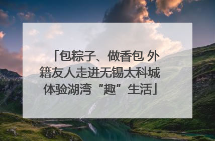 包粽子、做香包 外籍友人走进无锡太科城体验湖湾“趣”生活
