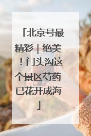 北京号最精彩｜绝美！门头沟这个景区芍药已花开成海