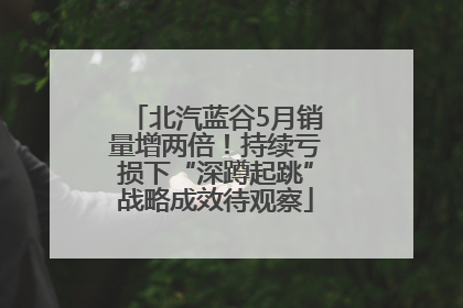 北汽蓝谷5月销量增两倍！持续亏损下“深蹲起跳”战略成效待观察