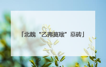 北魏“乙弗莫瓌”墓砖