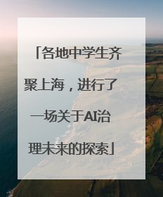 各地中学生齐聚上海，进行了一场关于AI治理未来的探索