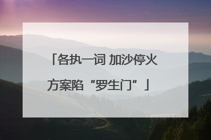 各执一词 加沙停火方案陷“罗生门”