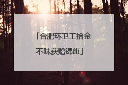 合肥环卫工拾金不昧获赠锦旗