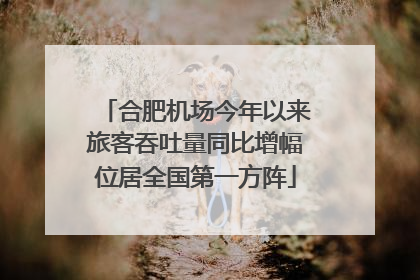 合肥机场今年以来旅客吞吐量同比增幅位居全国第一方阵