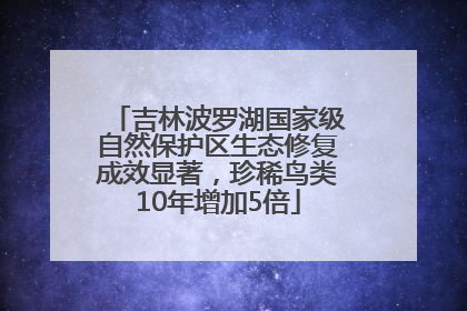 吉林波罗湖国家级自然保护区生态修复成效显著，珍稀鸟类10年增加5倍