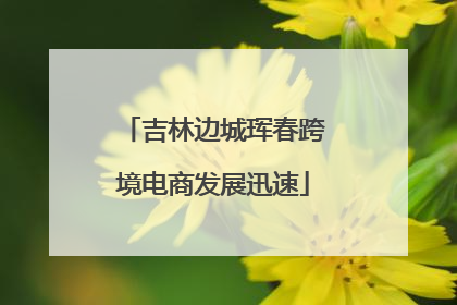 吉林边城珲春跨境电商发展迅速